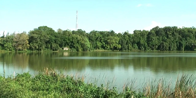 Canoeing and Nature Exploration at Lake Duluti