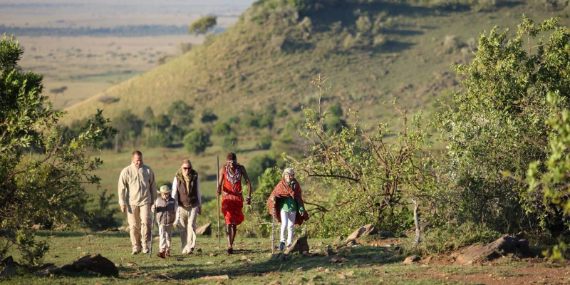 Plan Your Safari Today