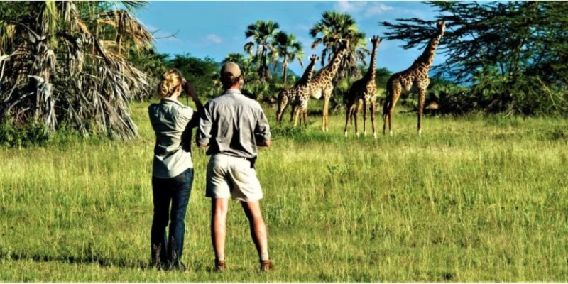 Authentic Cultural Encounters