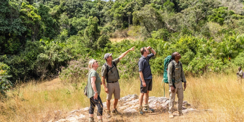 Wildlife Viewing Experience- Private vs Group