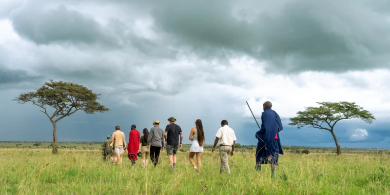 Cost Differences Between Private and Group Safaris