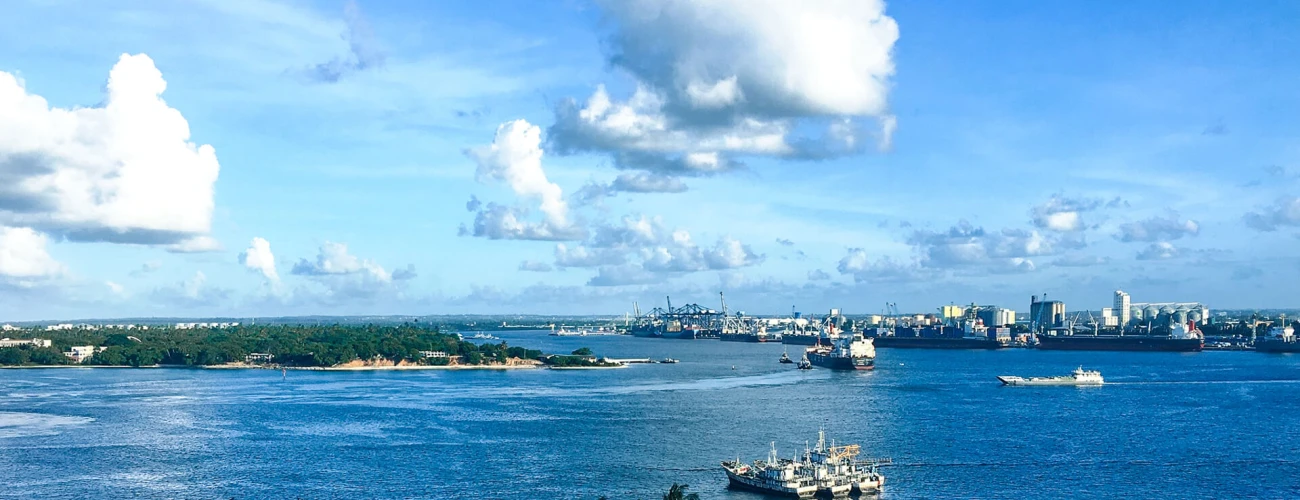 Top 10 Reasons to Visit Tanzania for a Safari