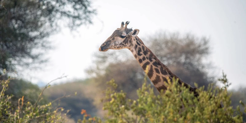 5. Vast Untouched Wilderness