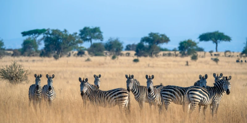 Diverse Landscapes and Ecosystems