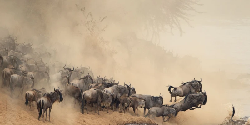 3. Experience a Different Season of the Great Migration