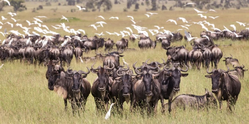 4. Stay Longer in One Ecosystem