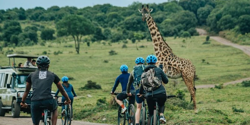 5. Combine Safari with Mountains, Forests, or Beaches