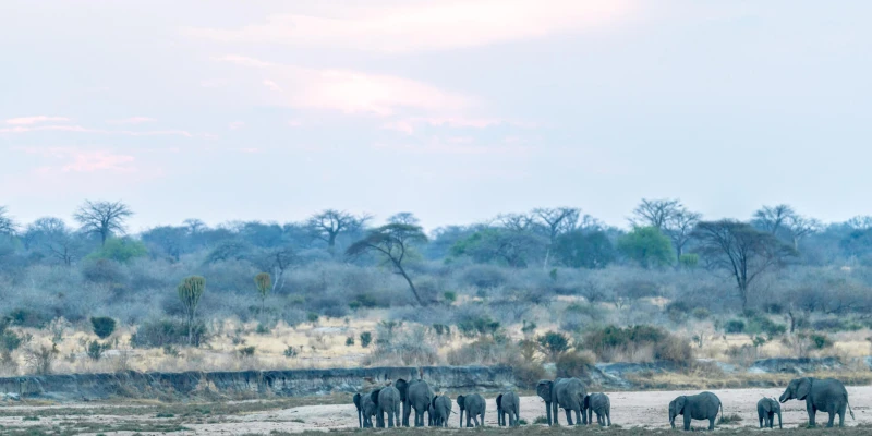 5. 9-Day Southern Tanzania Wilderness Safari