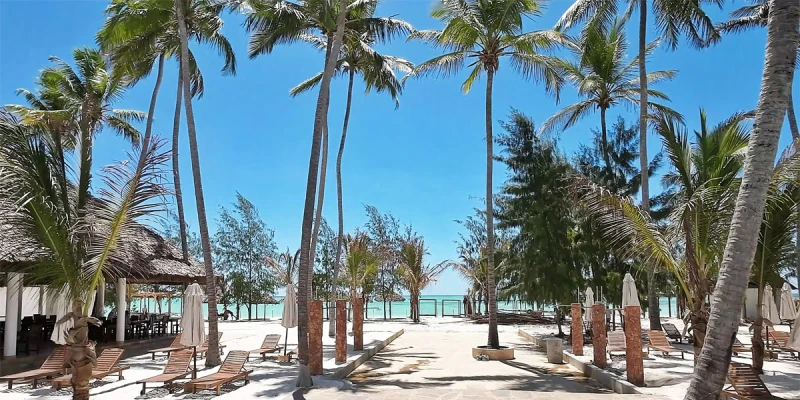 7. 10-Day Tanzania Safari & Zanzibar Beach Escape