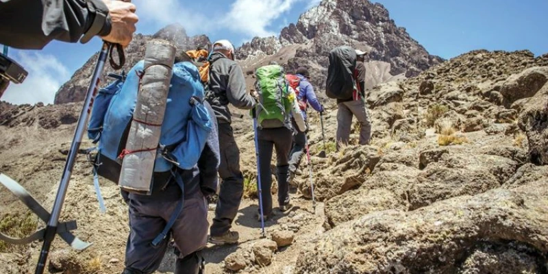 10. 12-Day Kilimanjaro Trek & Tanzania Safari