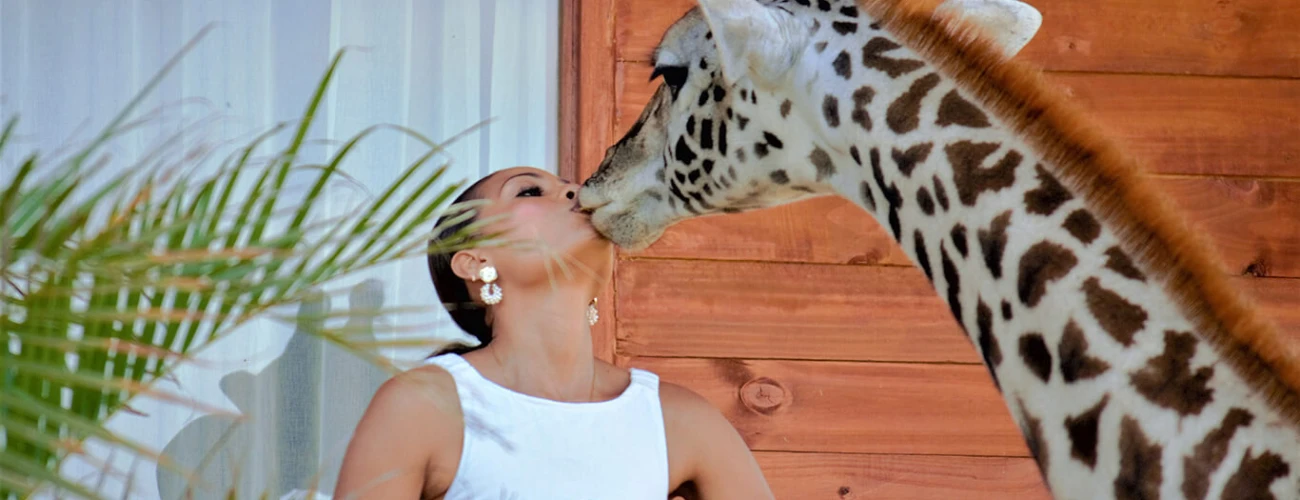 Why You Should Visit Serval Wildlife Sanctuary