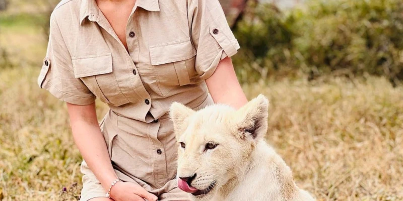 Encounter the Rare White Lions