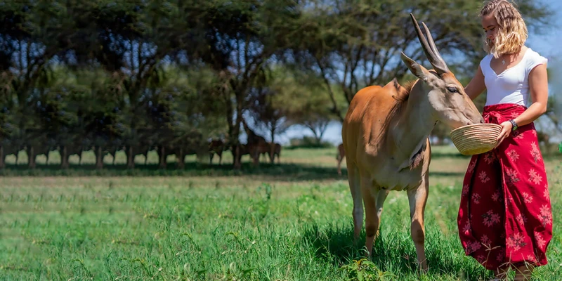 An Incredible Wildlife Photography Destination