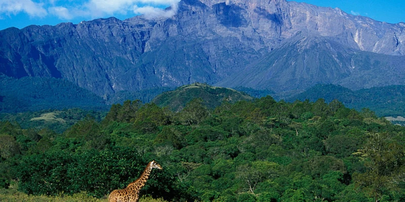 A Peaceful Natural Escape Near Arusha National Park