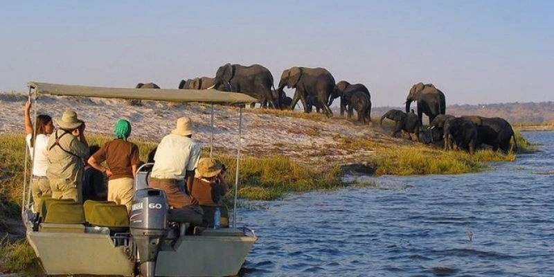 The Character of Southern Tanzania Safaris