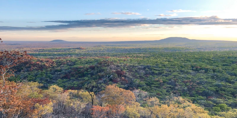 Key Differences That Shape Your Experience