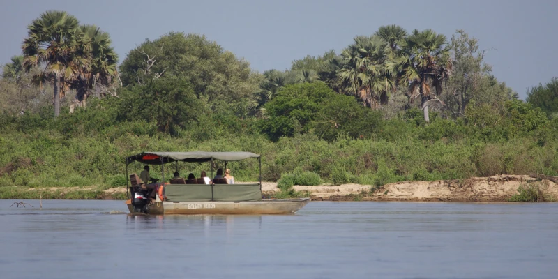 2. Boat Safaris Along the Rufiji River