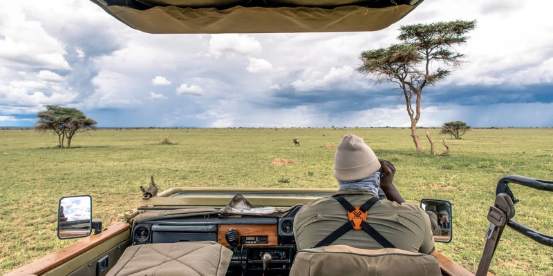 Embark on Thrilling Game Drives