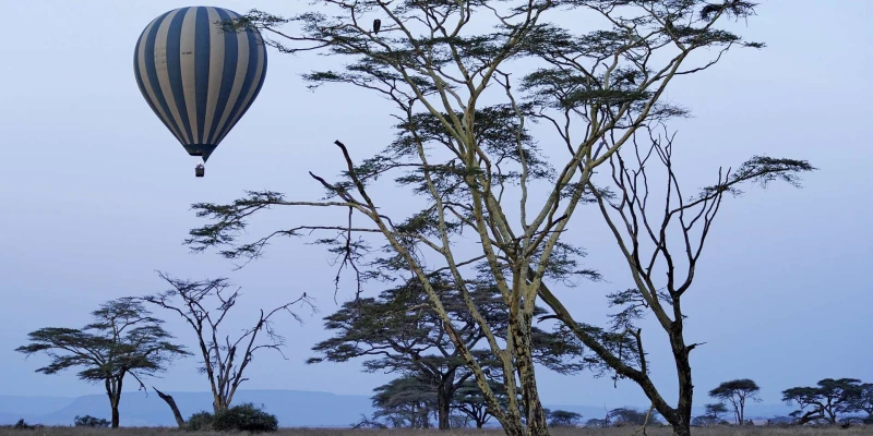 Take to the Skies with a Hot Air Balloon Safari