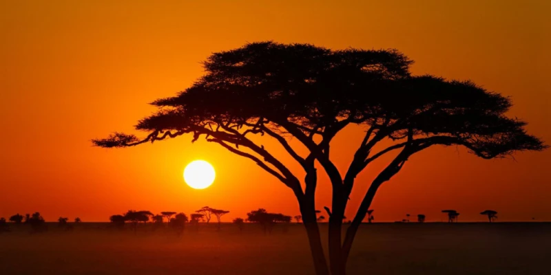 Make Every Moment Count