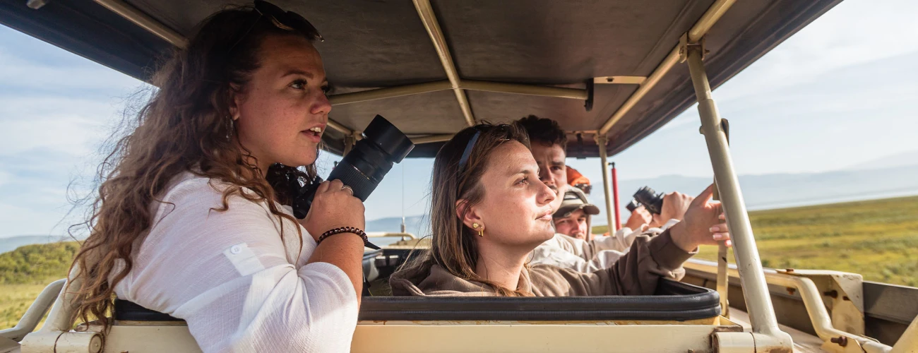 Best Parks in Tanzania for First-Time Safari