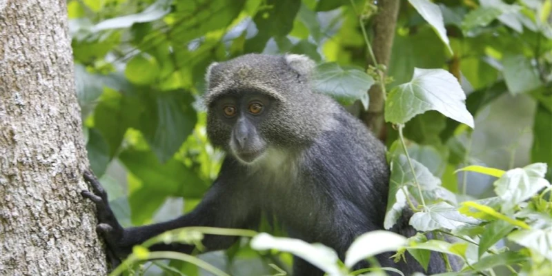 5. Arusha National Park- A Gentle Safari Start