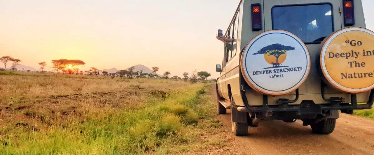 2-days-tanzania-safari-tarangire-ngorongoro-crater-luxury-safari