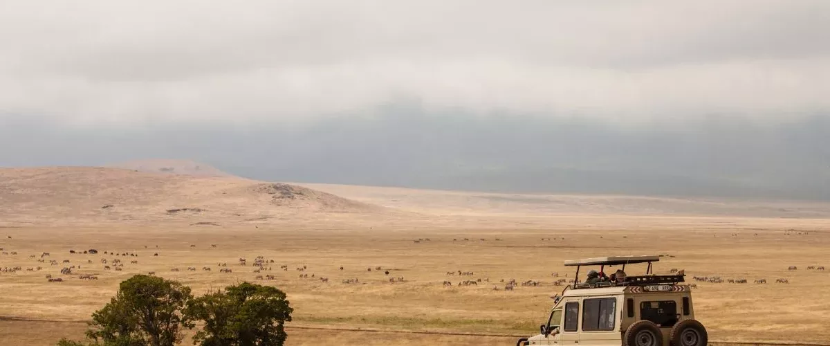 2-days-tanzania-safari-tarangire-ngorongoro-crater-luxury-safari