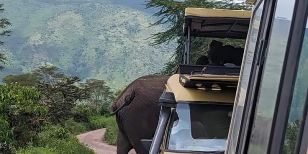 3days-safari-to-tarangire-and-ngorongoro-crater