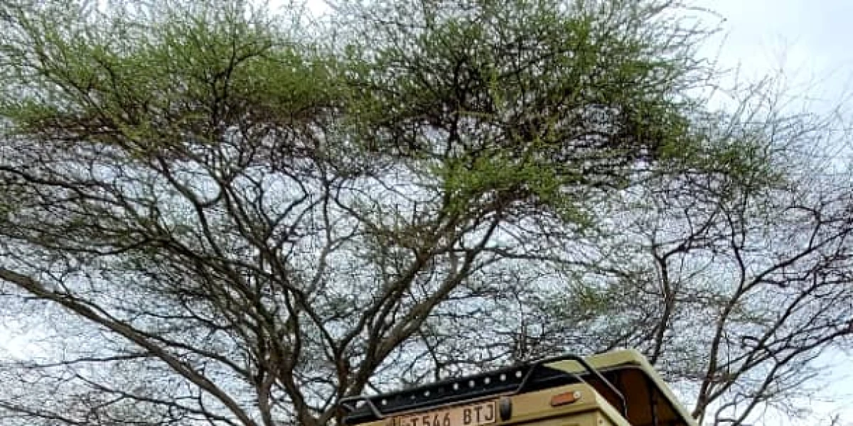 Our guests on  our safari vehicle