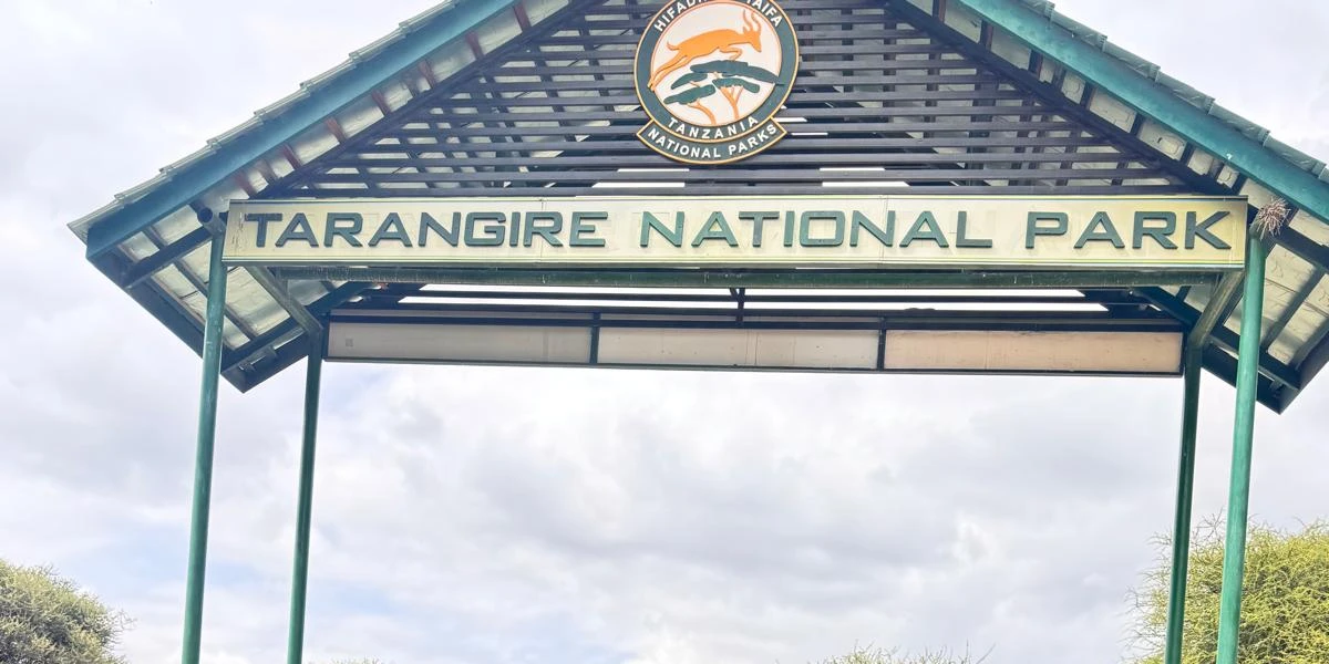 Private Safari Escape Through Tarangire, Ngorongoro and Arusha National Park. 