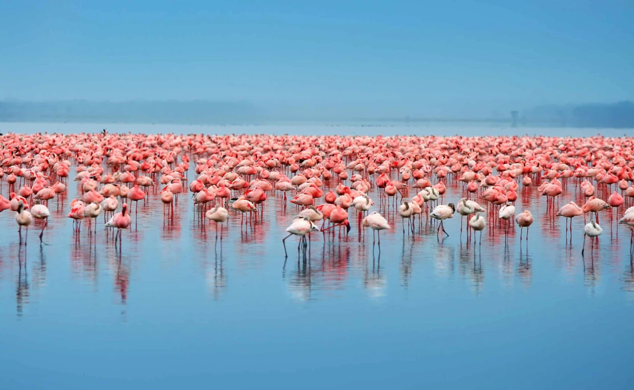 TOUR TO LAKE EYASI FOR CULTURAL EXPERIENCE