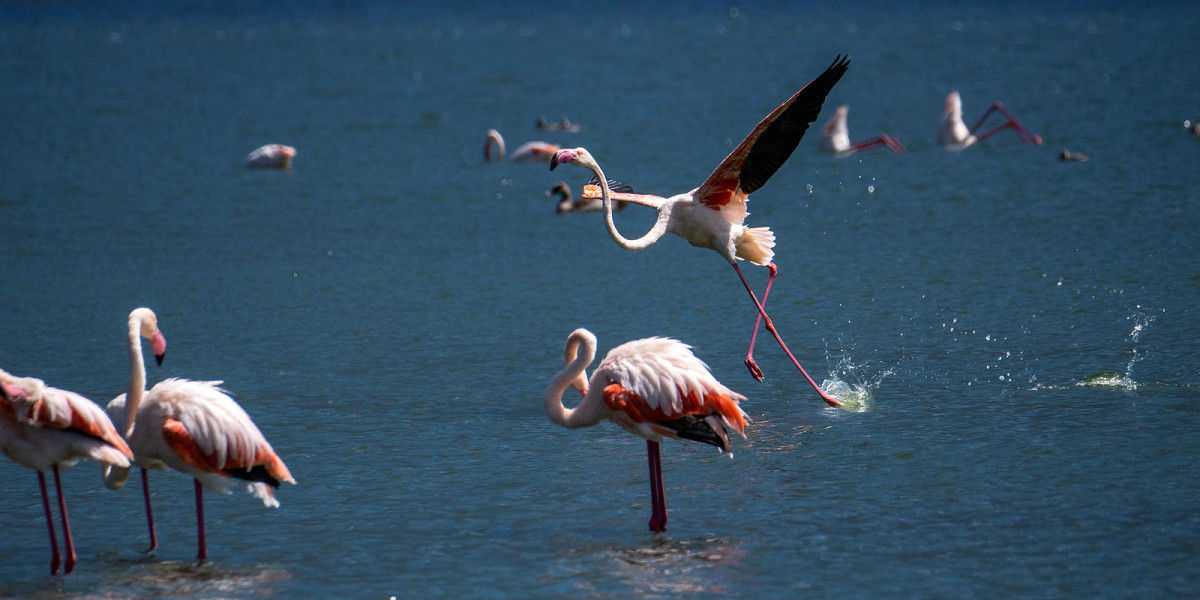 Arusha National Park