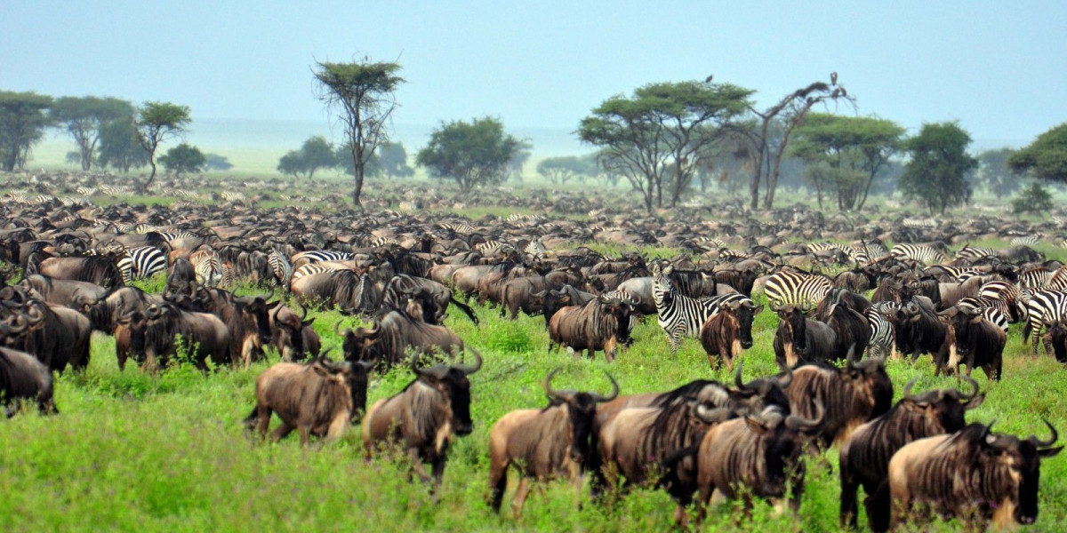 Serengeti National Park