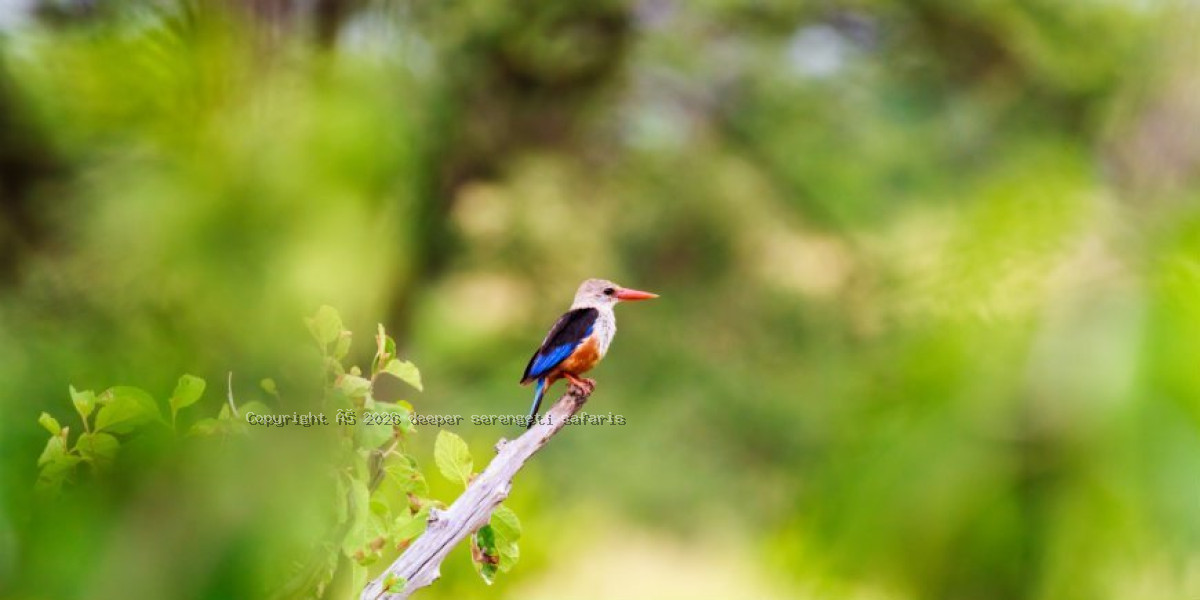 Tarangire National Park