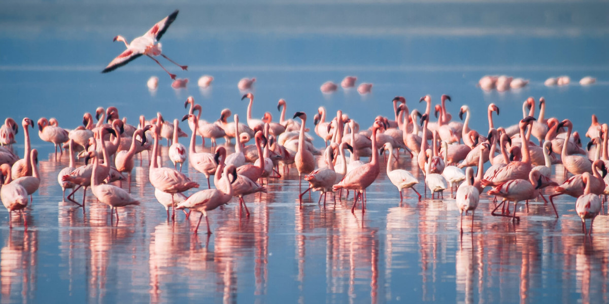 lake Manyara National Park