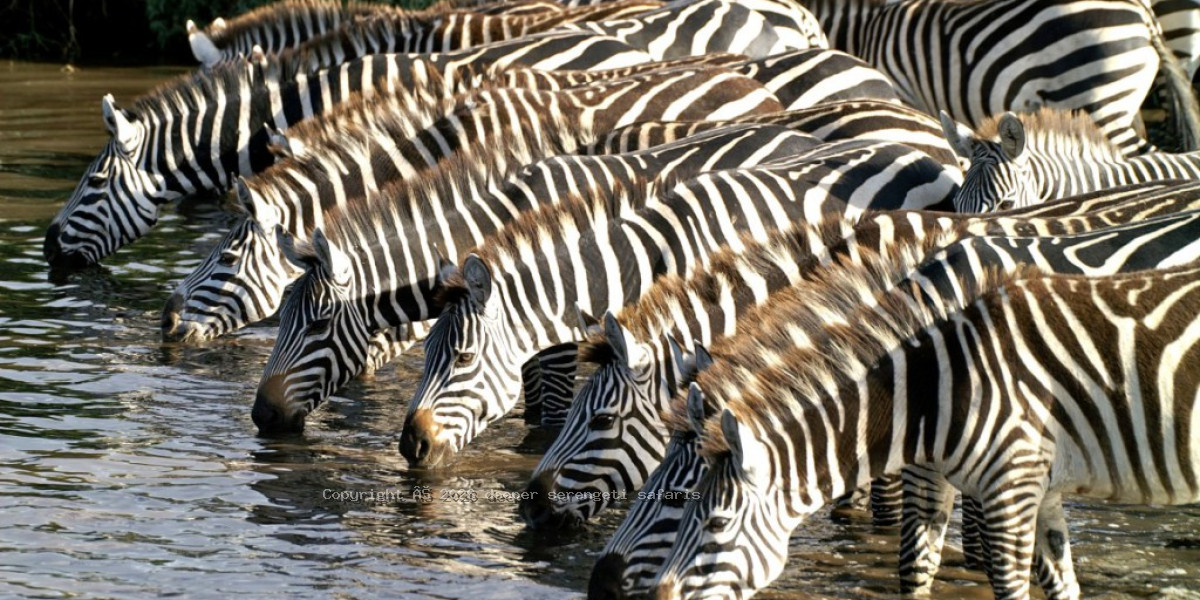 mikumi National Park