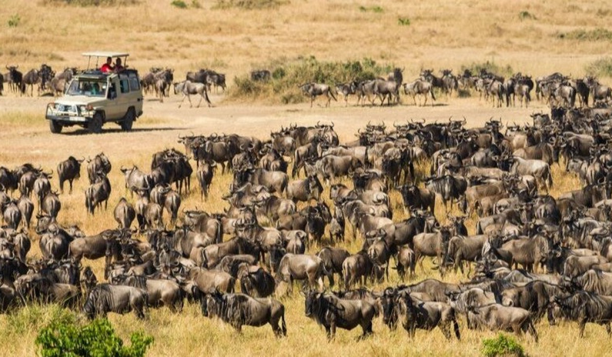 Serengeti National Park