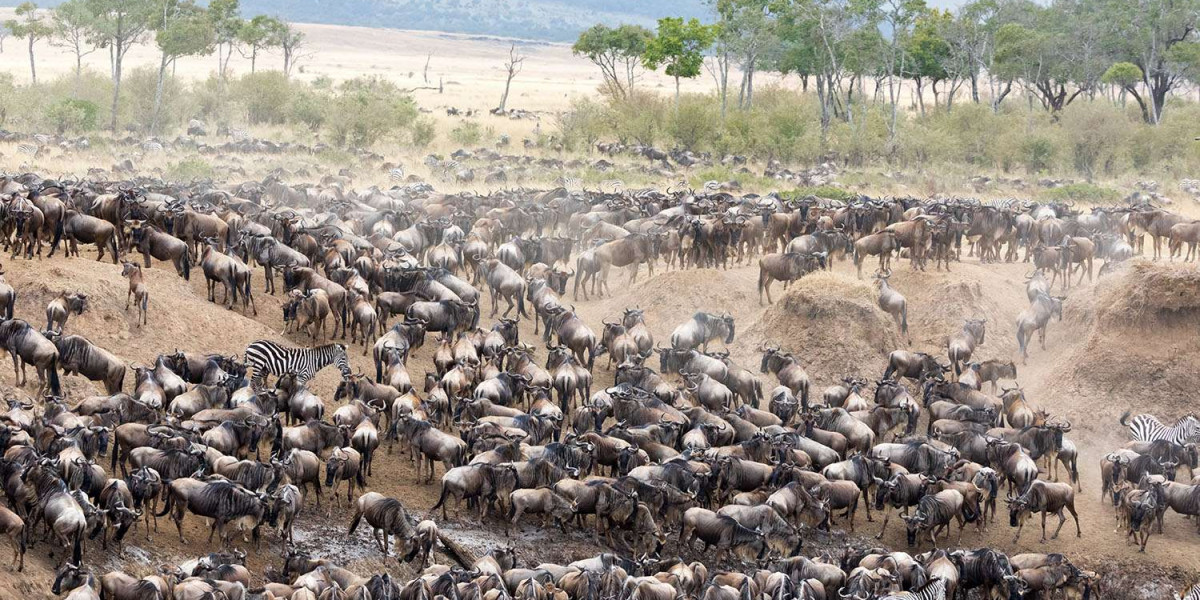 Serengeti National Park