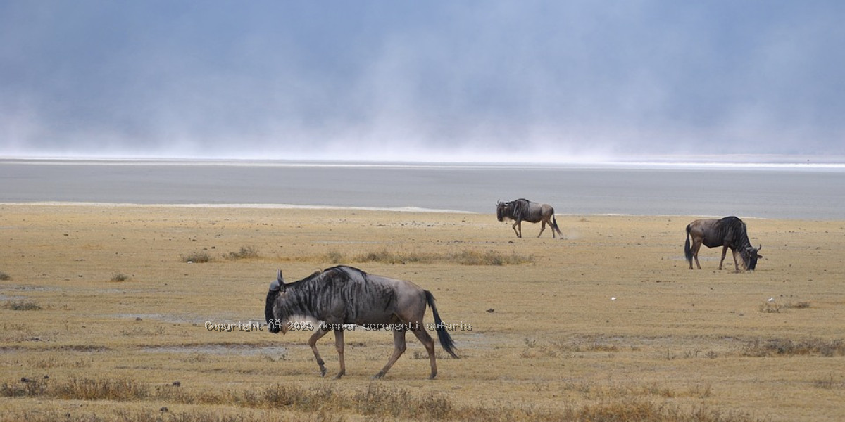 Ngorongoro Crater