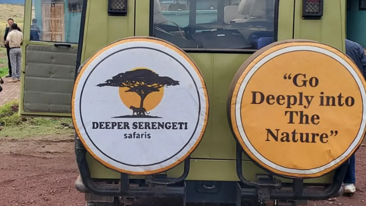 Adventurous yet classy, a mix of wild and wonder