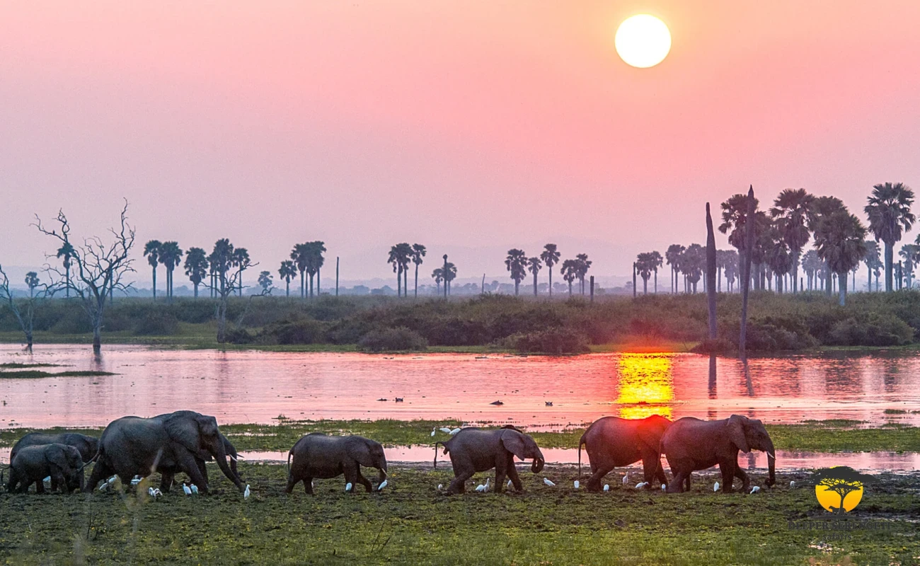 Southern Tanzania Wilderness & River Safari