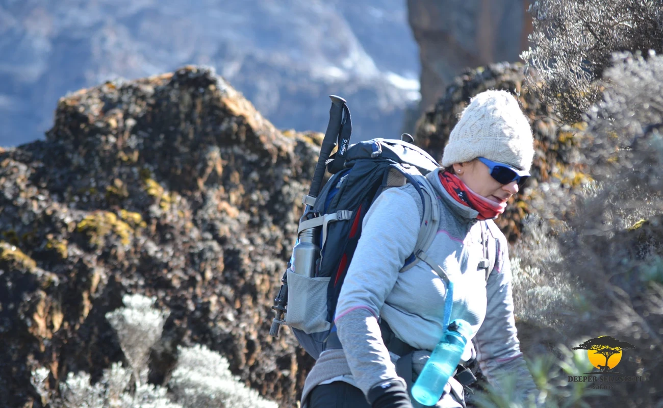 Kilimanjaro Hiking – Lemosho Route