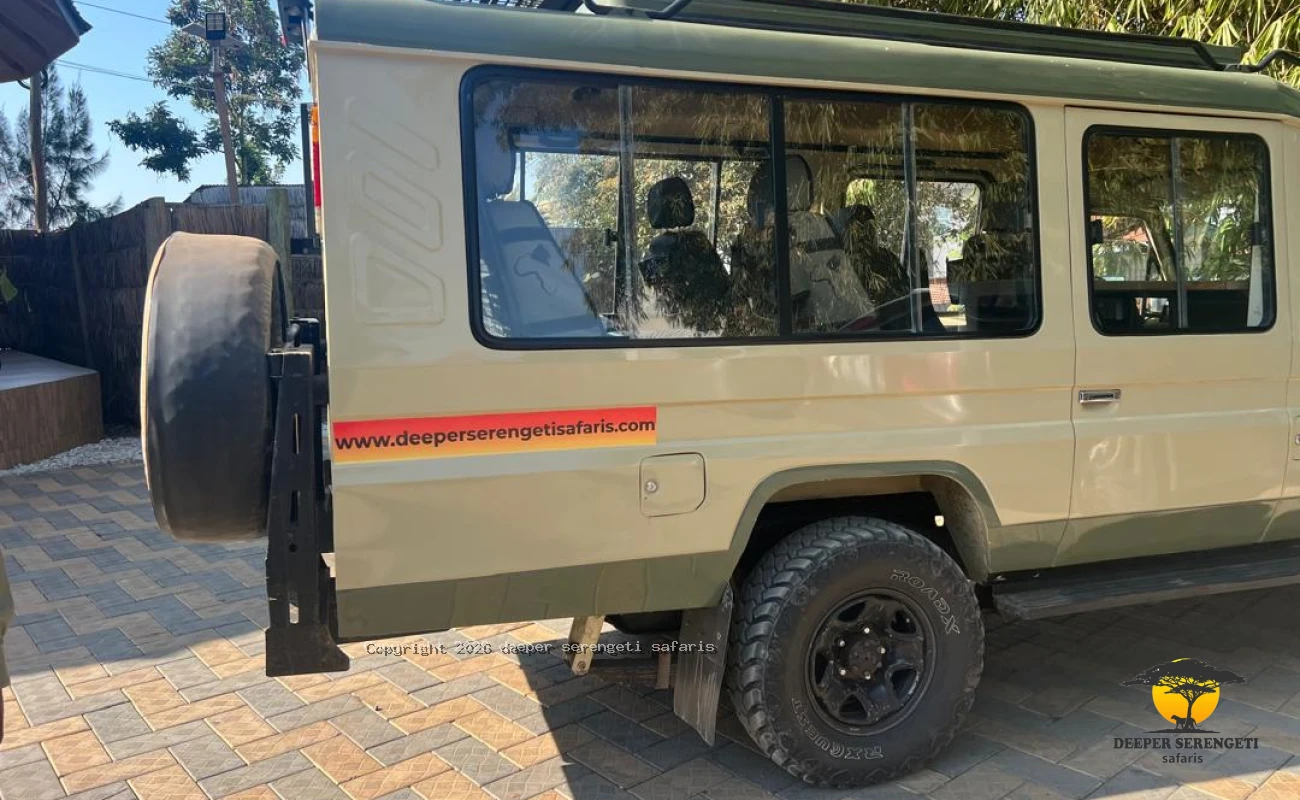 Materuni Coffee Tour And Chemka Hot Springs