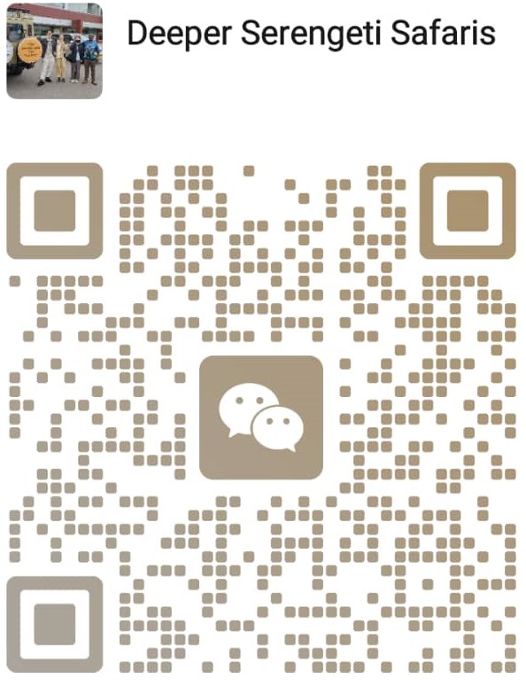 WhatsAppt QR Code