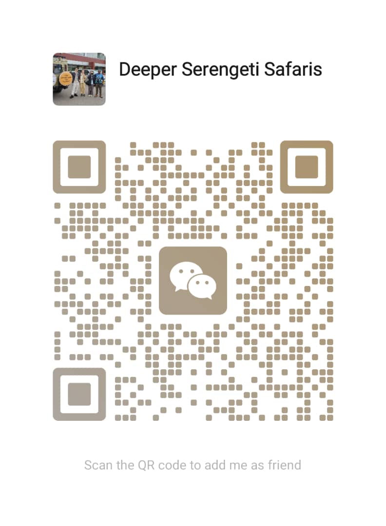 WeChat QR Code